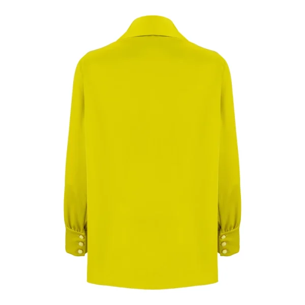 b220a5818e95f4848361223f53d199bbf57aa652_1707043423 شومیز آستین بلند زنانه